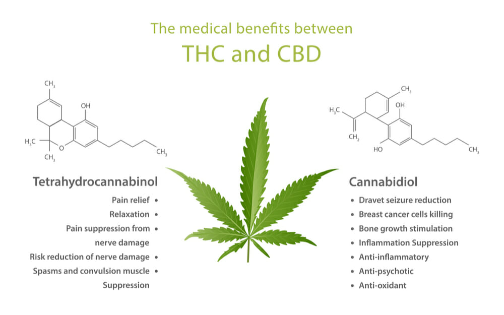 thc and cbd for cancer