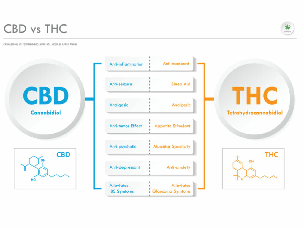 cbd and thc properties2