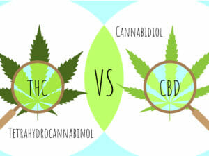 cbd vs thc