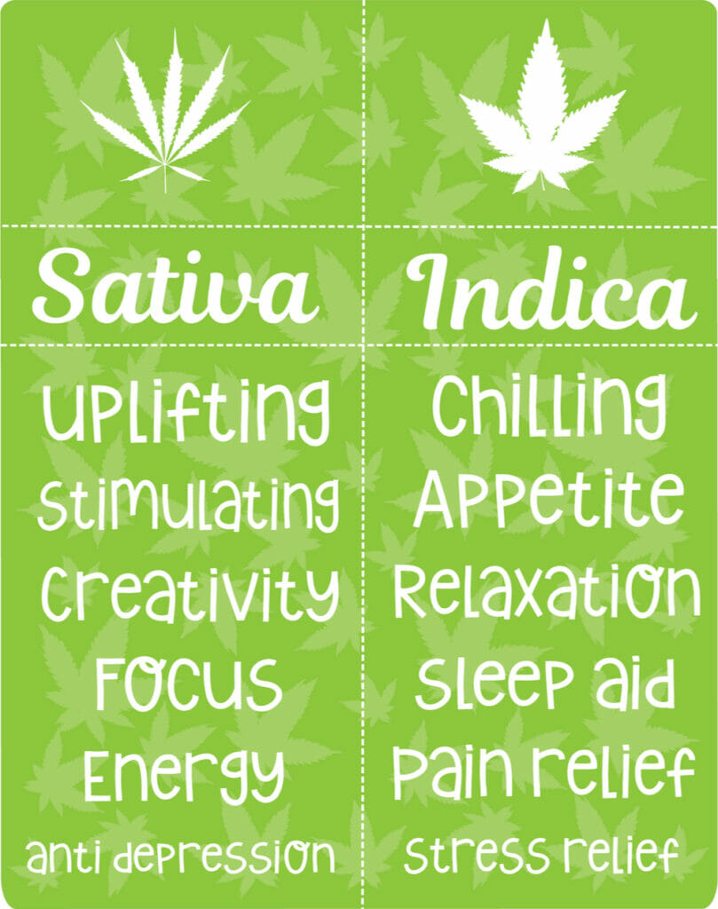 stimulant vs depressant