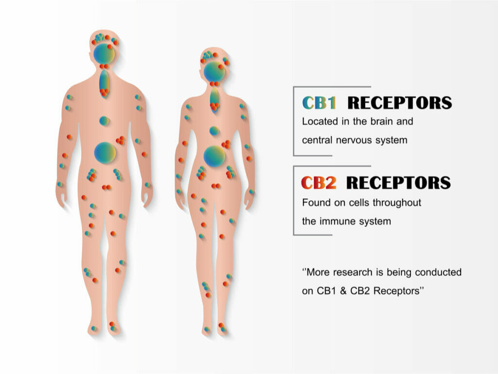 neuropathic treatments