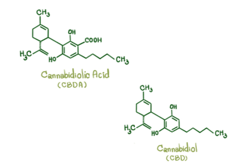 medical marijuana