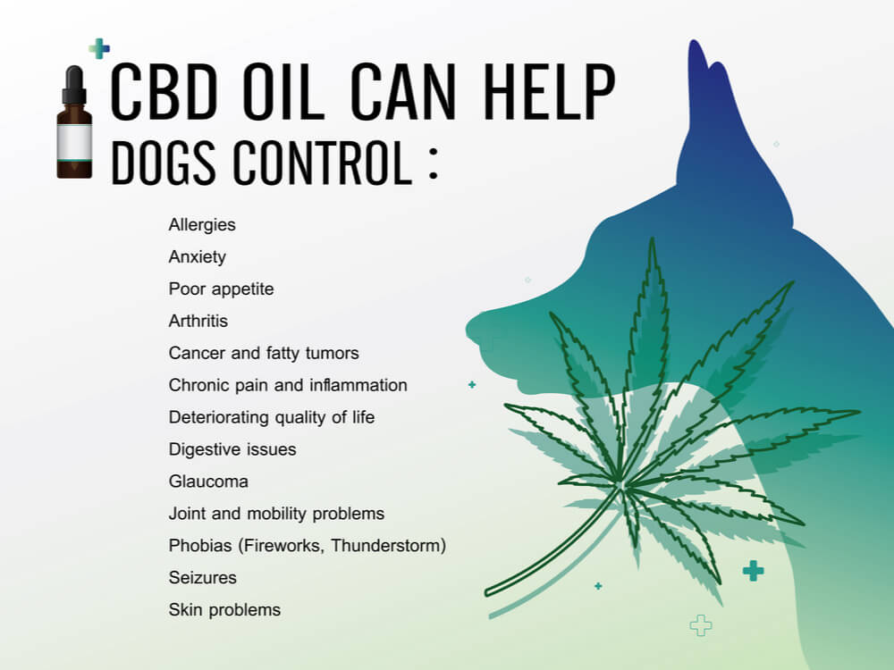 cbd for dogs