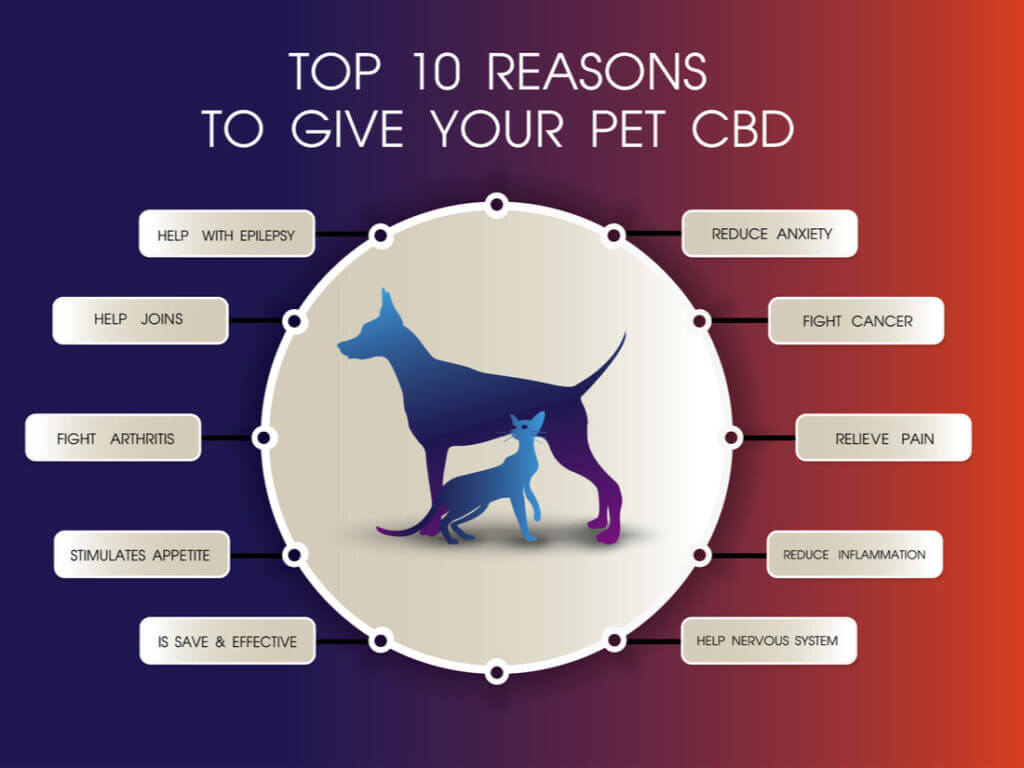 cbd for dogs