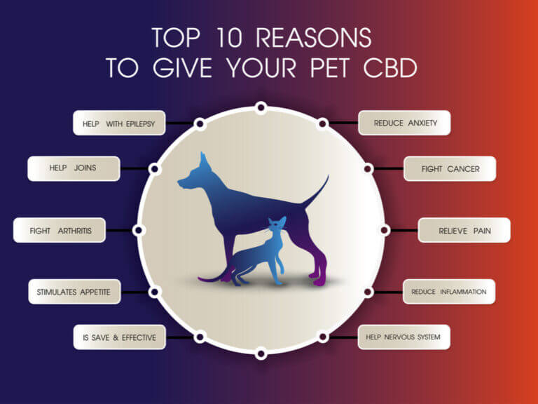 cbd for dogs