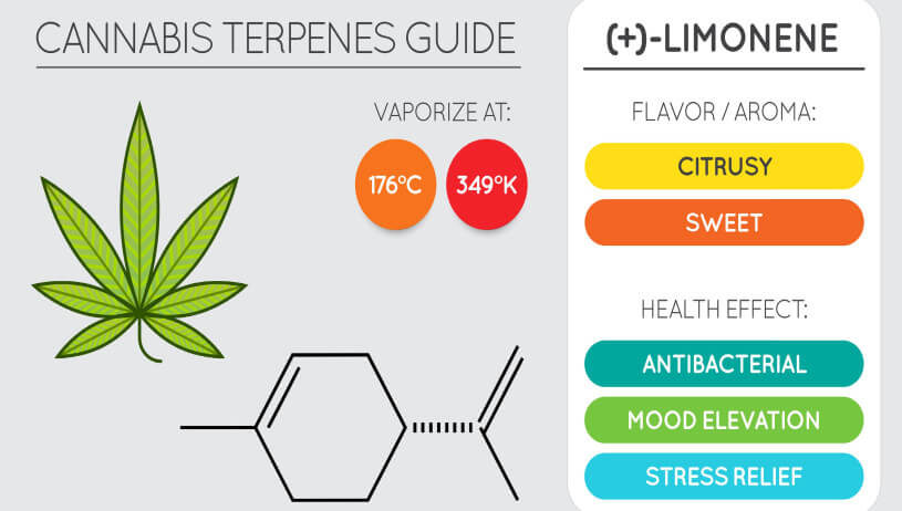 limonene guide