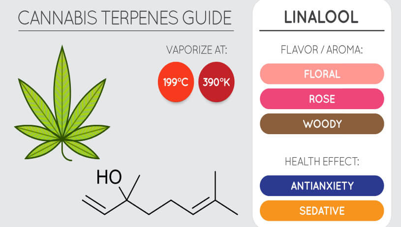 linalool guide