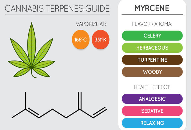 myrcene guide